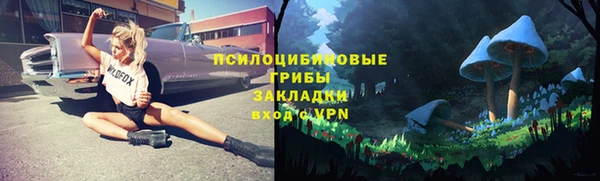ALPHA-PVP Пролетарск